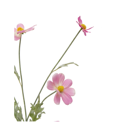 Cosmos rose clair artificiel