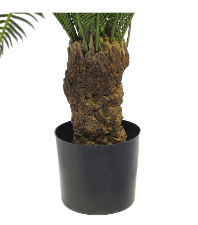 Pot
