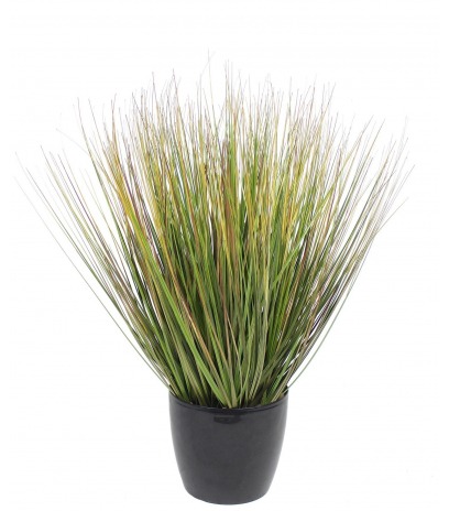 Herbe des prairies artificielle