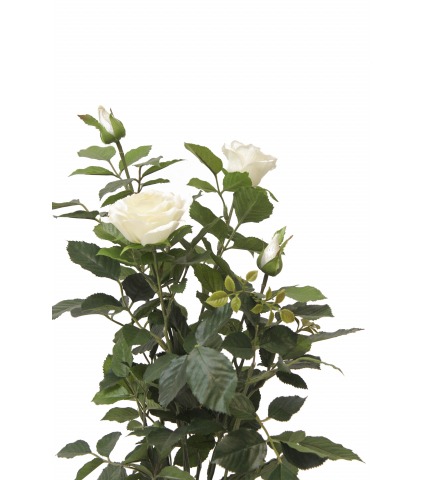 Rosier artificiel blanc