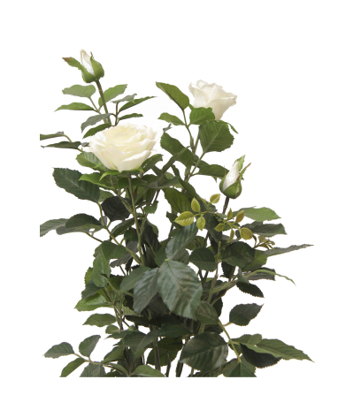 Rosier artificiel blanc
