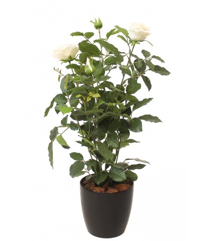 Rosier artificiel blanc
