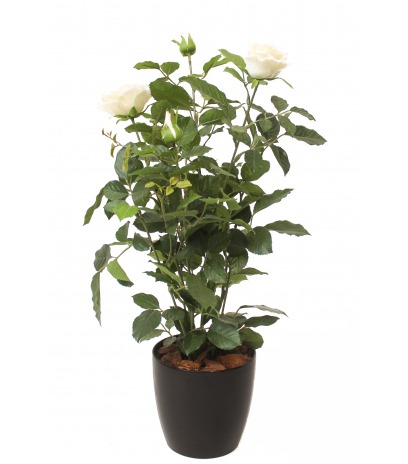 Rosier artificiel blanc