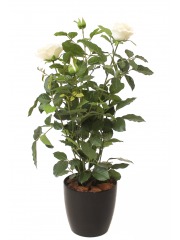 Rosier artificiel blanc