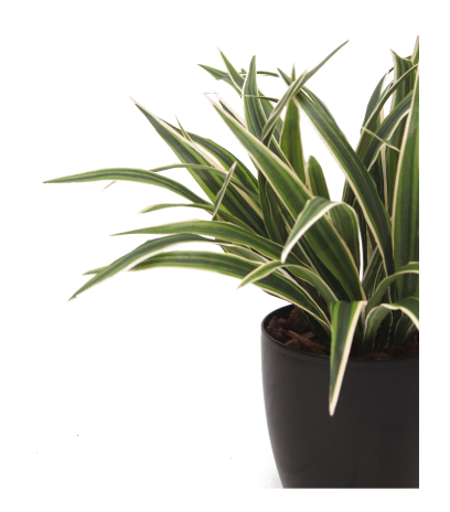 Chlorophytum artificiel buisson