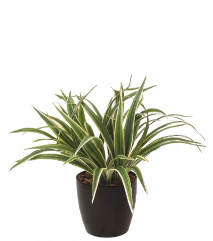 Chlorophytum artificiel buisson