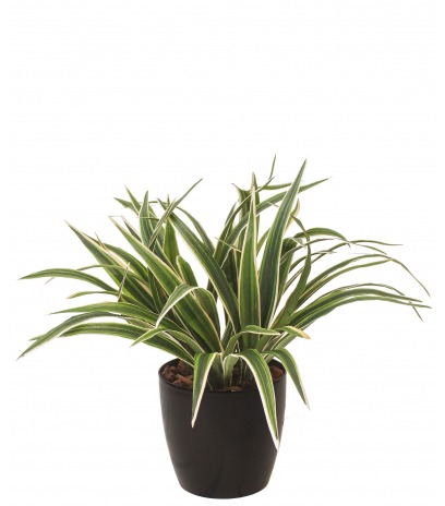 Chlorophytum artificiel buisson