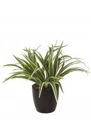 Chlorophytum artificiel buisson