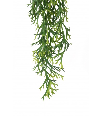 Chute de platycerium artificielle