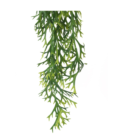 Chute de platycerium artificielle