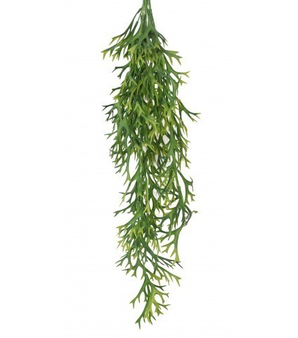 Chute de platycerium artificielle