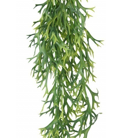 Chute de platycerium artificielle