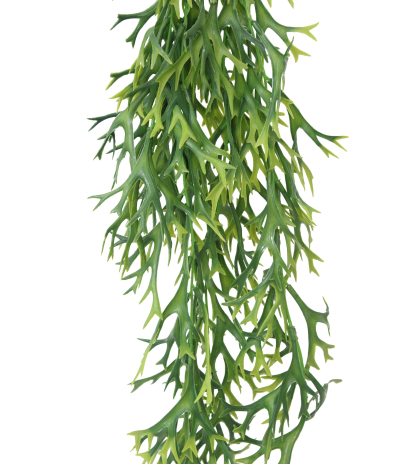 Chute de platycerium artificielle