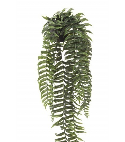 Fougère cordifolia artificielle en pot