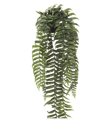 Fougère cordifolia artificielle en pot