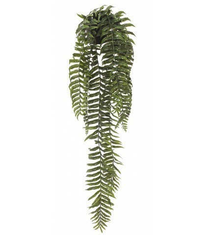 Fougère cordifolia artificielle en pot