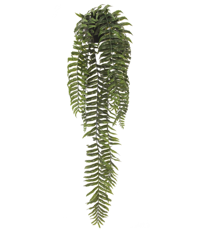 Fougère cordifolia artificielle en pot