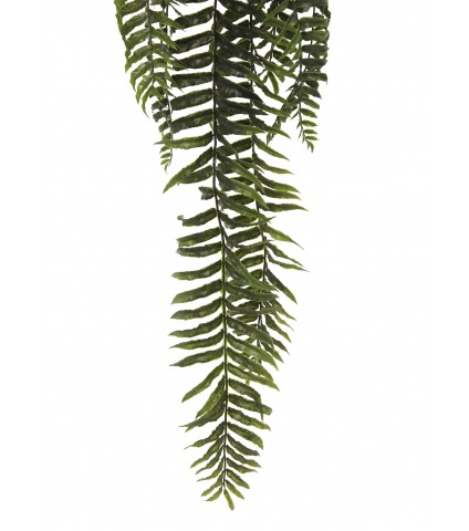 Fougère cordifolia artificielle en pot