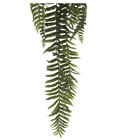 Fougère cordifolia artificielle en pot