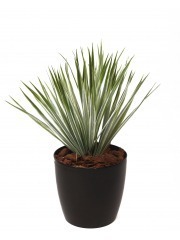 Yucca artificiel vert panaché
