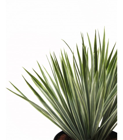Yucca artificiel vert panaché