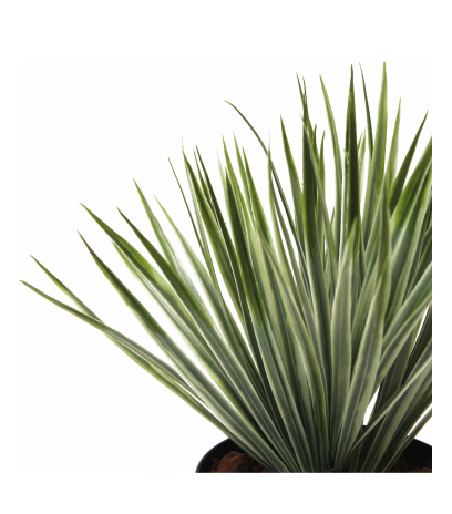 Yucca artificiel vert panaché