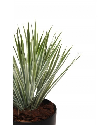 Yucca artificiel vert panaché