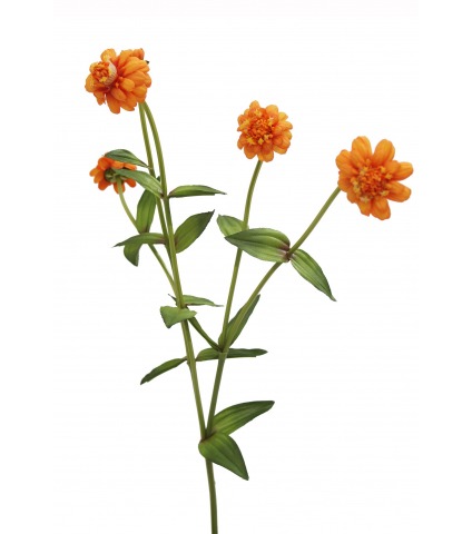 Zinnia artificiel orange