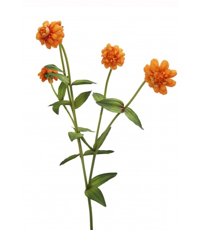 Zinnia artificiel orange
