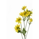Tige de chrysanthème artificiel jaune