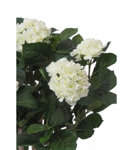 Hortensia artificiel Annabelle