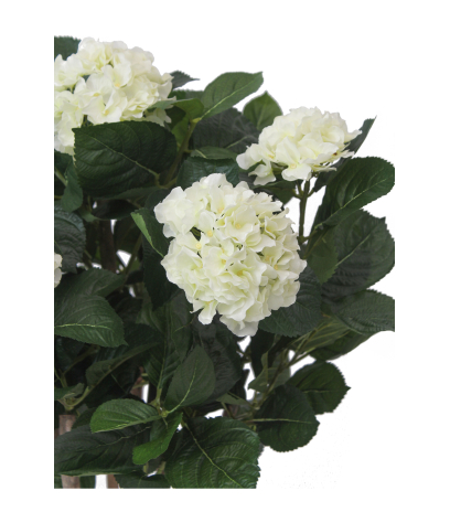 Hortensia artificiel Annabelle