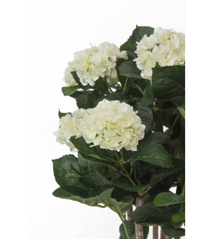Hortensia artificiel Annabelle