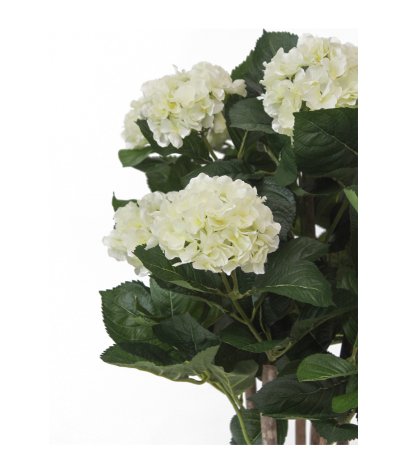 Hortensia artificiel Annabelle