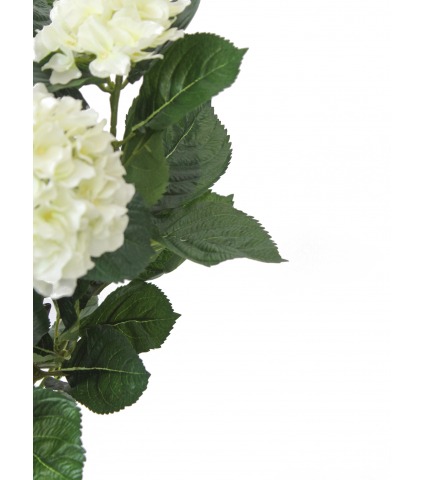 Hortensia artificiel Annabelle