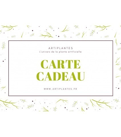 e-Carte cadeau Artiplantes