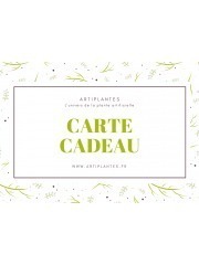 e-Carte cadeau Artiplantes