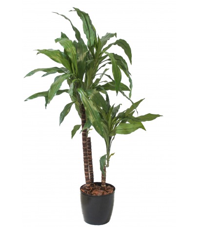 Dracena artificiel marginata