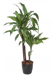 Dracena artificiel marginata