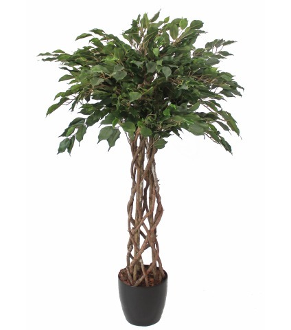 Ficus artificiel tressé