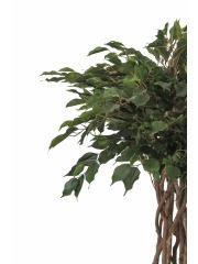 Ficus artificiel tressé