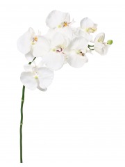 Phalaenopsis artificiel blanc