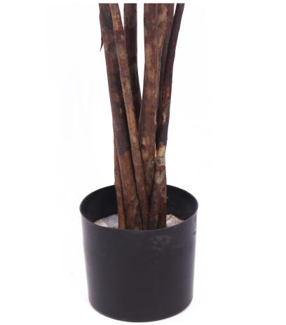 Pot