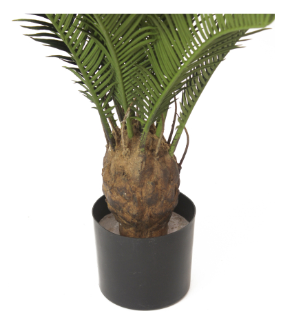 Pot