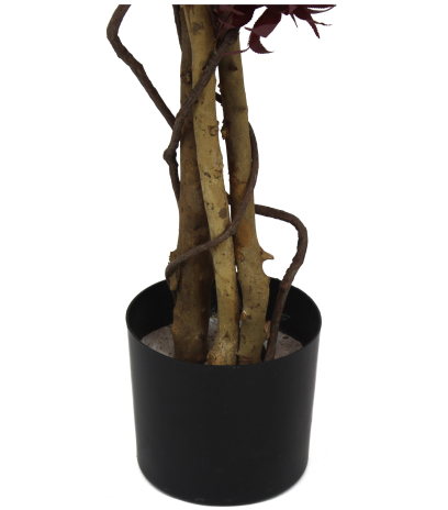 Pot