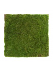 Plaque de mousse artificielle 50 cm - Plaques pour mur végétal - Artiplantes