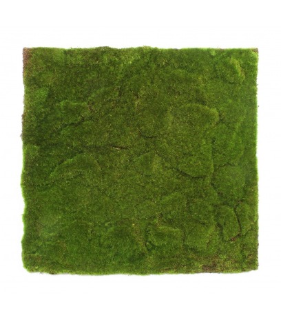 Mousse artificielle en plaque