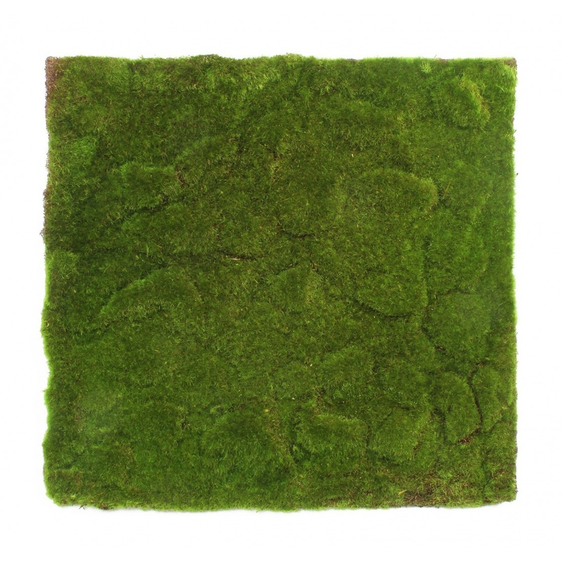 Plaque de mousse artificielle 50 cm - Plaques pour mur végétal - Artiplantes
