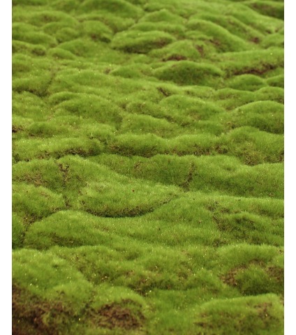 Grande plaque de mousse épaisse