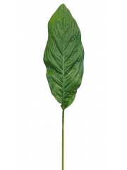 Feuille de spathiphyllum artificielle